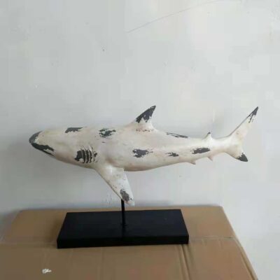SEA001 Shark Table Top White 59cm