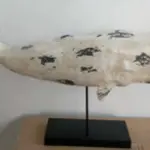 SEA003