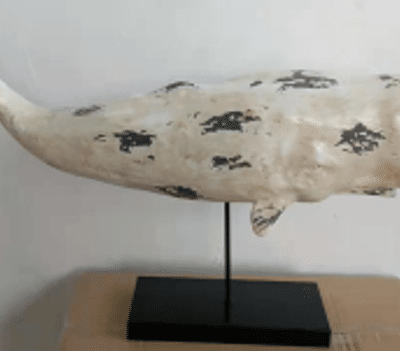 SEA003 Sperm Whale Table White Top 77cm
