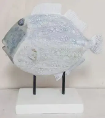 SEA013
