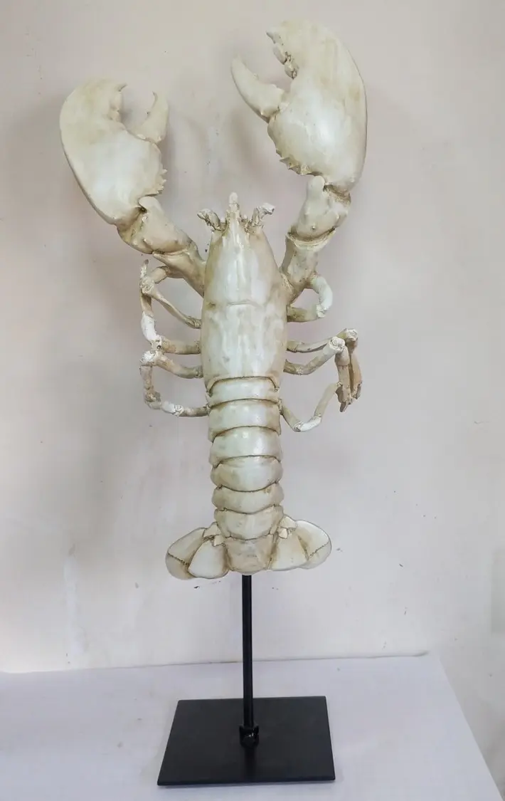 SEA021