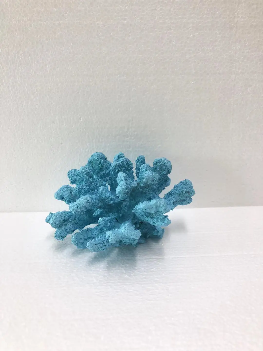 SEA024