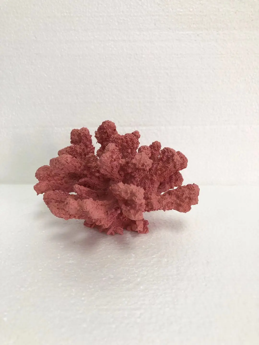 SEA025