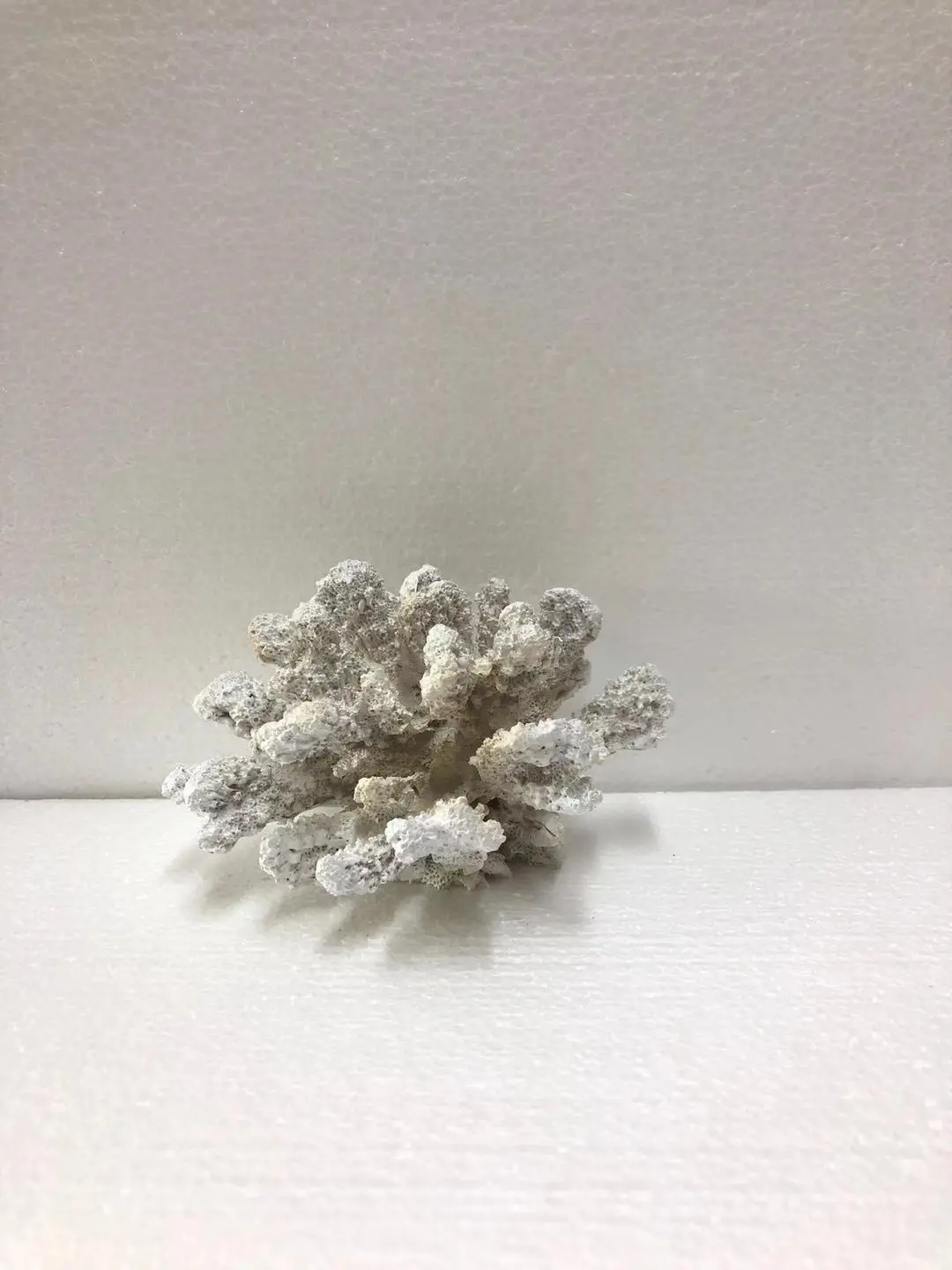 SEA026