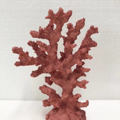 SEA028 Coral Tall 14x7x18cm