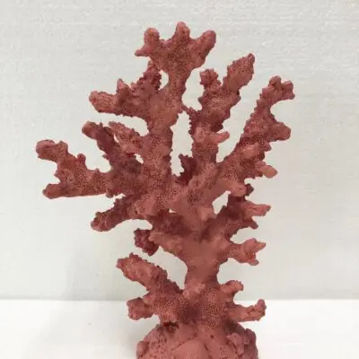 SEA028 Coral Tall 14x7x18cm