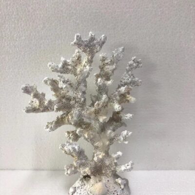 SEA029 Coral White Tall 14x7x18cm