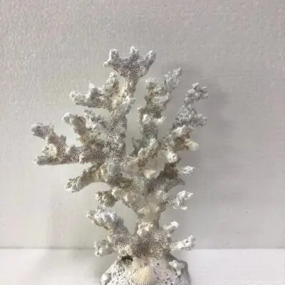 SEA029 Coral White Tall 14x7x18cm