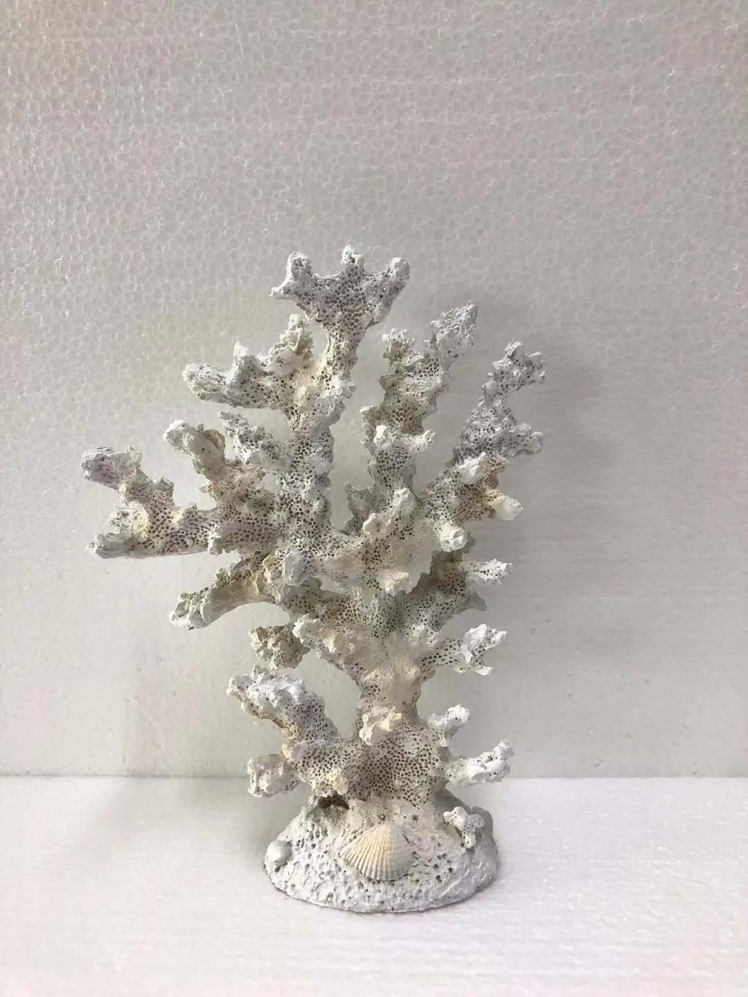 SEA029